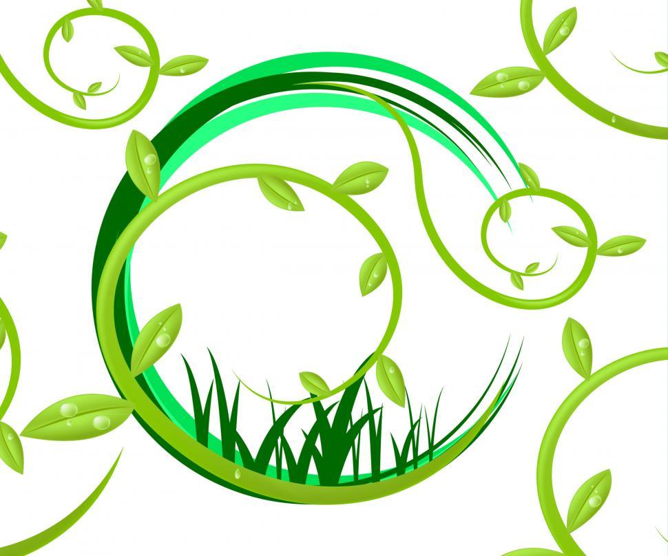 Free Image of Leaves Background Indicates Plant Environment And Outdoors 