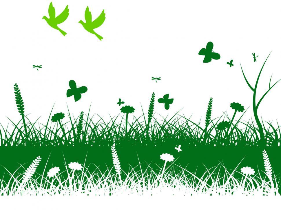 Free Image of Nature Birds Means Green Grass And Grassy 