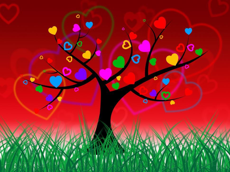 Free Image of Tree Grass Represents Natural Forest And Grassland 