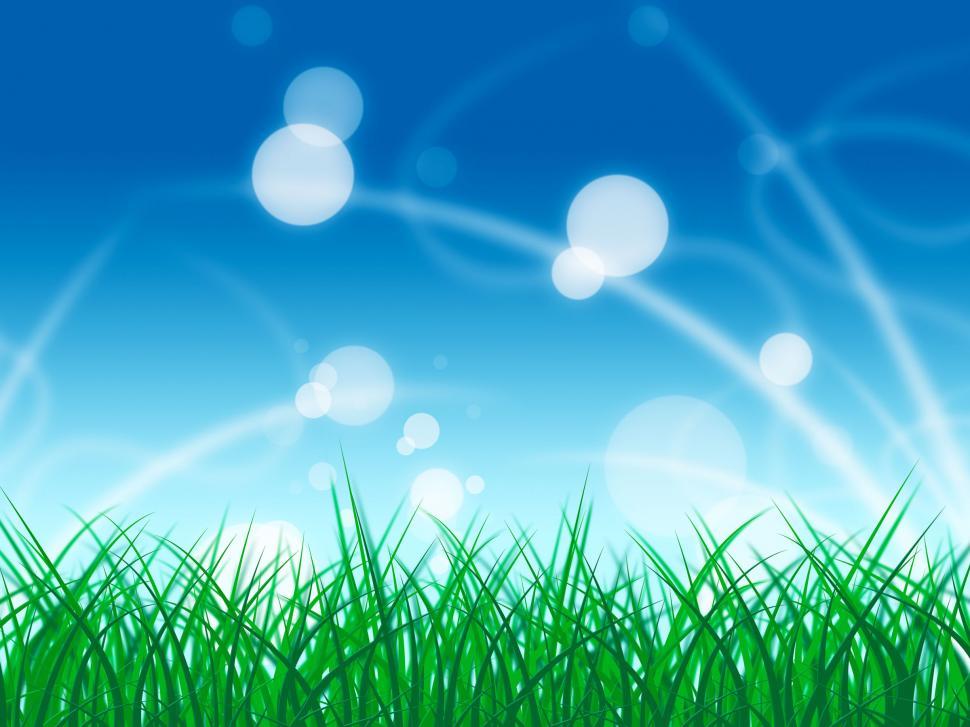 Free Image of Grass Landscape Shows Light Burst And Bright 