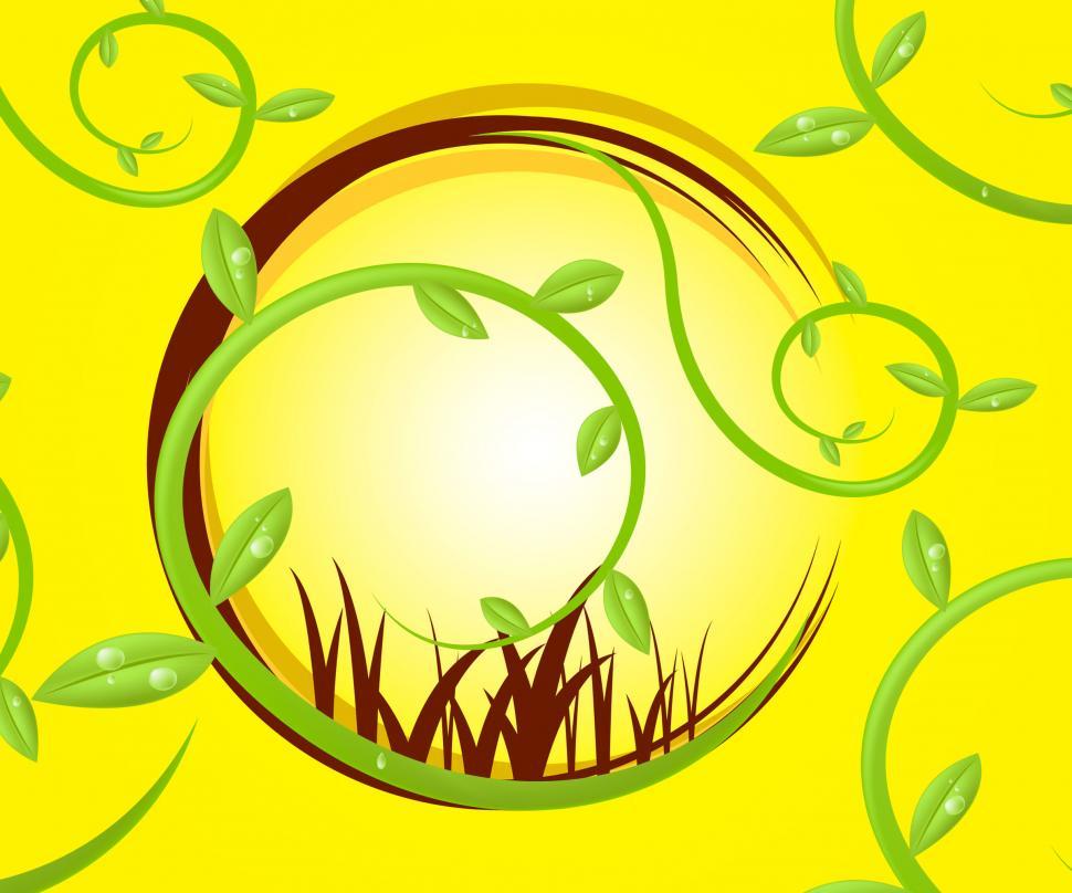 Free Image of Leaves Background Indicates Template Plant And Garden 