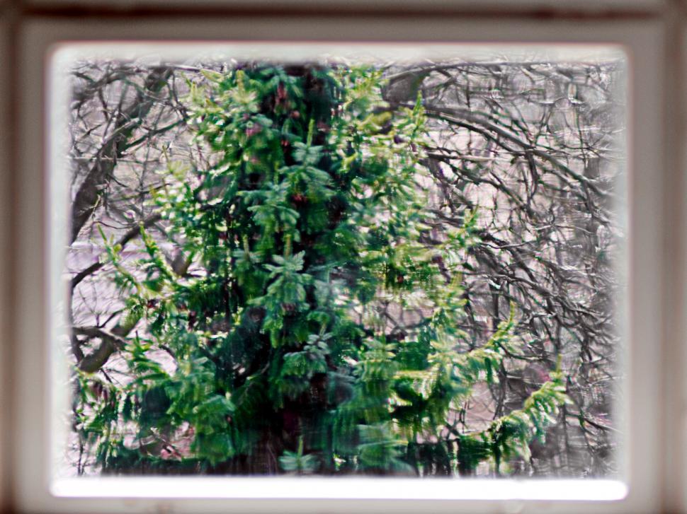 Free Image of Old window 