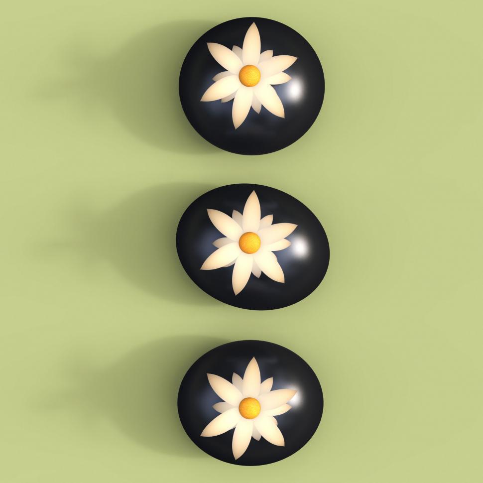 Free Image of Spa Stones Indicates Wellbeing Petals And Blooming 