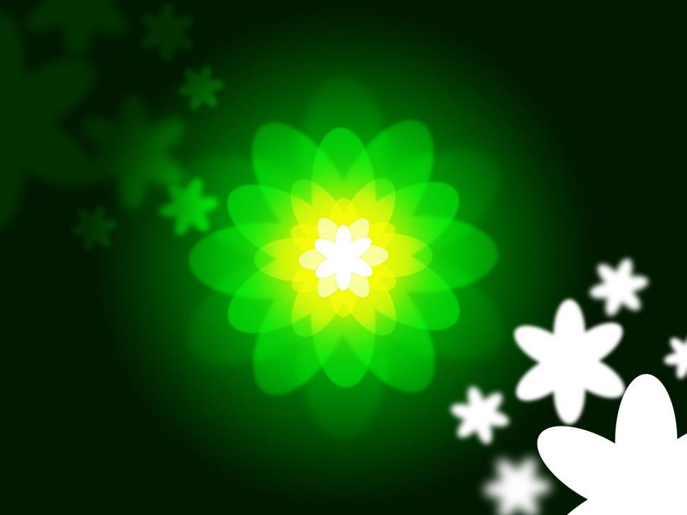 Free Image of Nature Glow Represents Light Burst And Blazing 