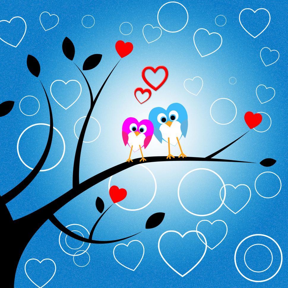 Free Image of Heart Owls Indicates Valentine Day And Environment 