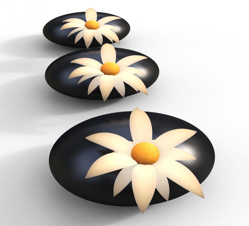Free Image of Spa Stones Means Flowers Blooming And Serenity 