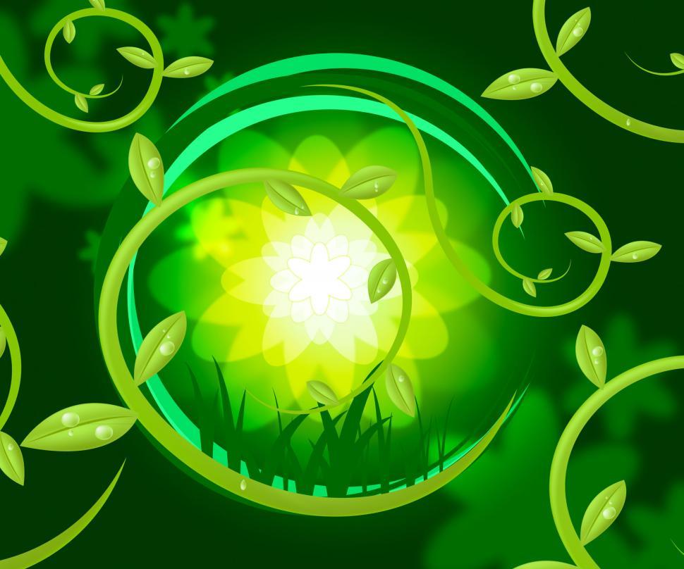 Free Image of Leaves Nature Shows Trees Tree And Template 