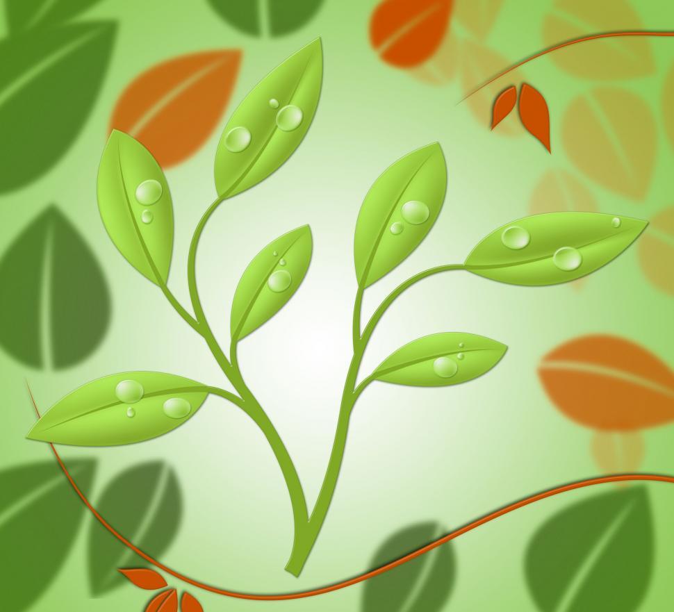 Free Image of Eco Friendly Shows Earth Day And Botanic 