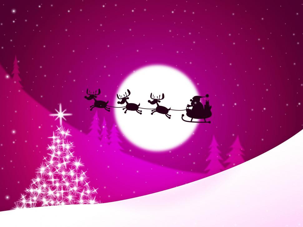 Free Image of Xmas Tree Represents Merry Christmas And Congratulation 