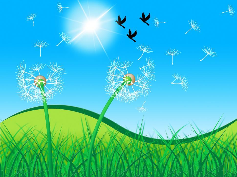 Free Stock Photo of Grass Birds Shows Dandelion Seeds And Countryside ...