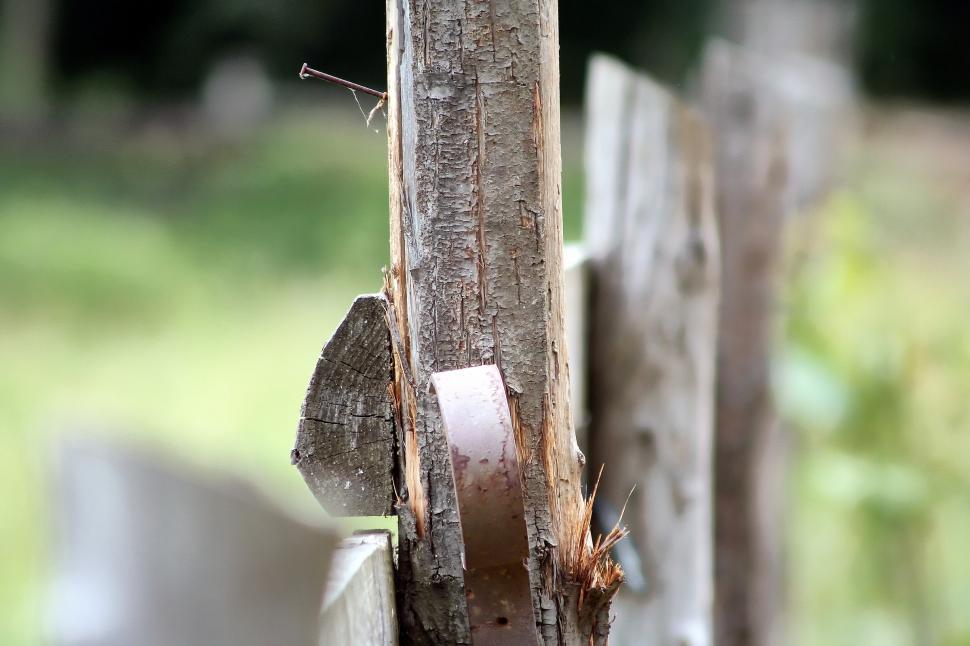 Free Image of Farm detail 