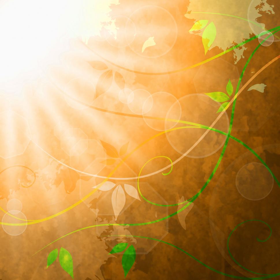 Free Image of Sun Sunrays Represents Summer Solar And Bouquet 