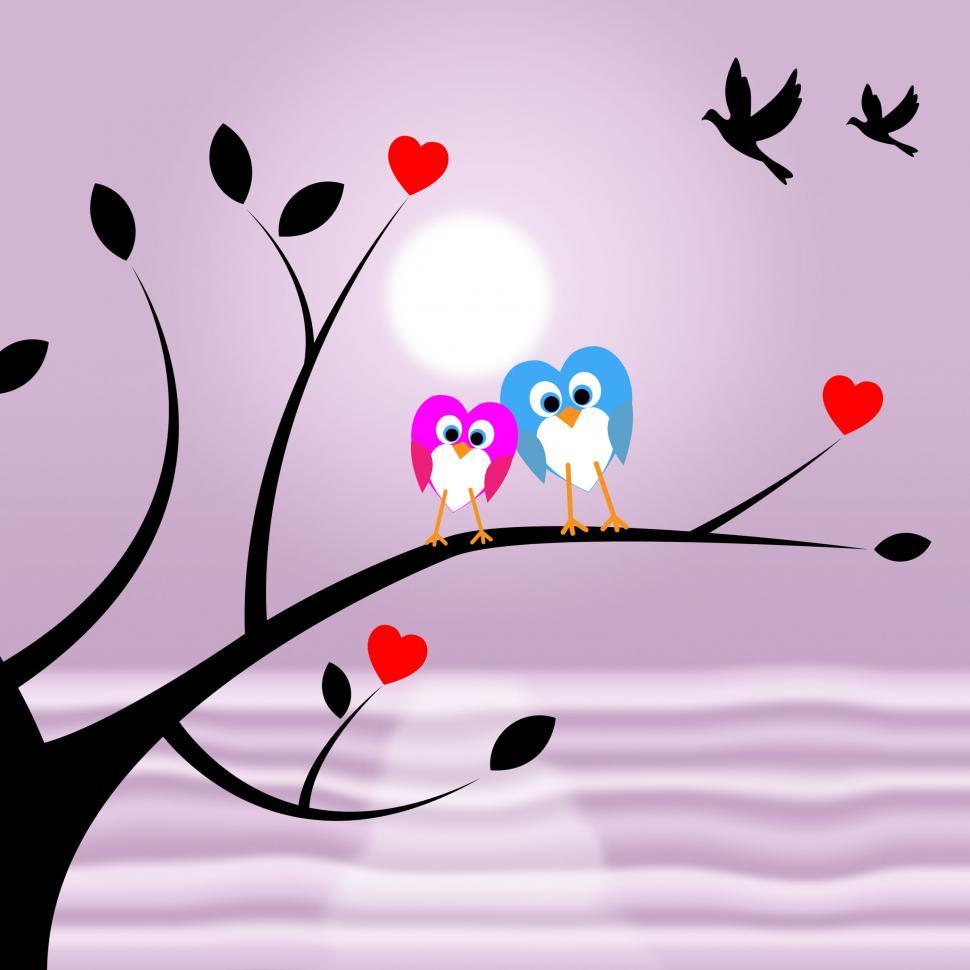 Free Image of Tree Owls Means Flock Of Birds And Environment 