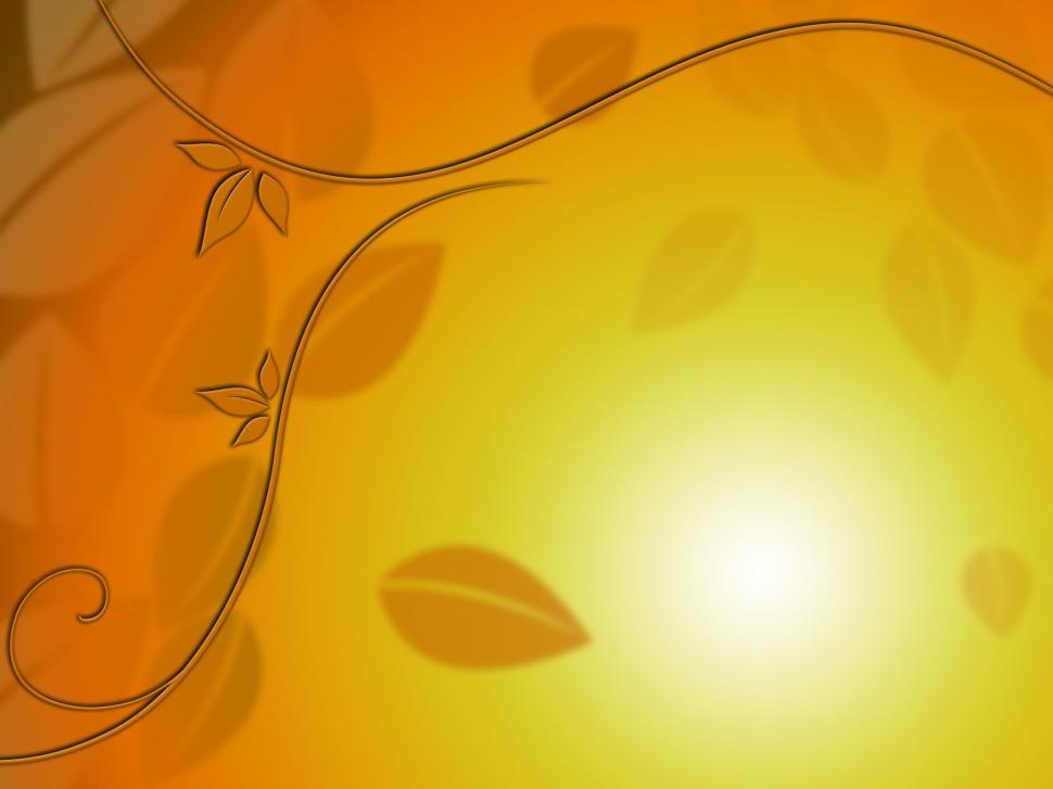 Free Image of Fine Leaves Background Shows Natural Beauty Or Season  