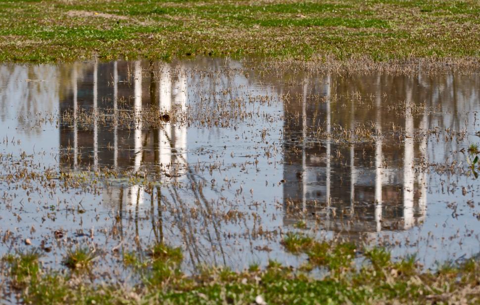 Free Image of Reflections 