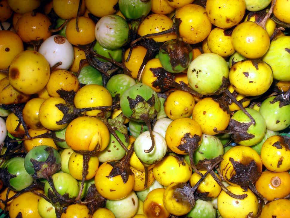 Free Image of Yellow Thai eggplant 