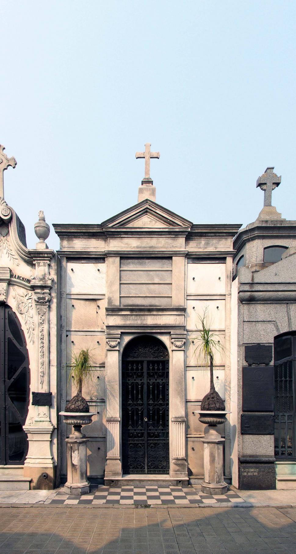 Free Image of Palm Niche 