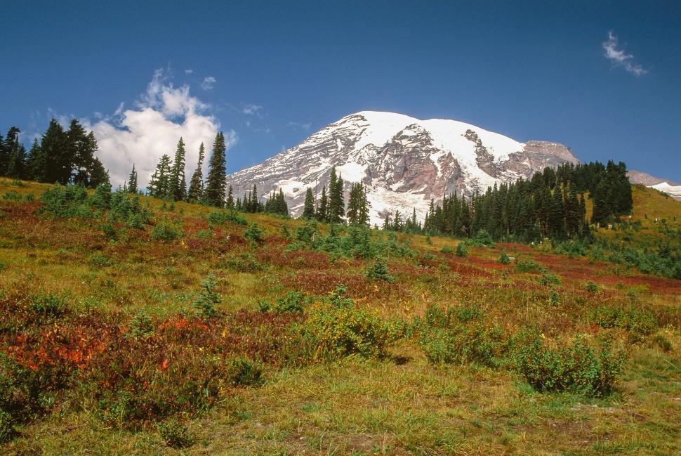 mount rainier national park sign