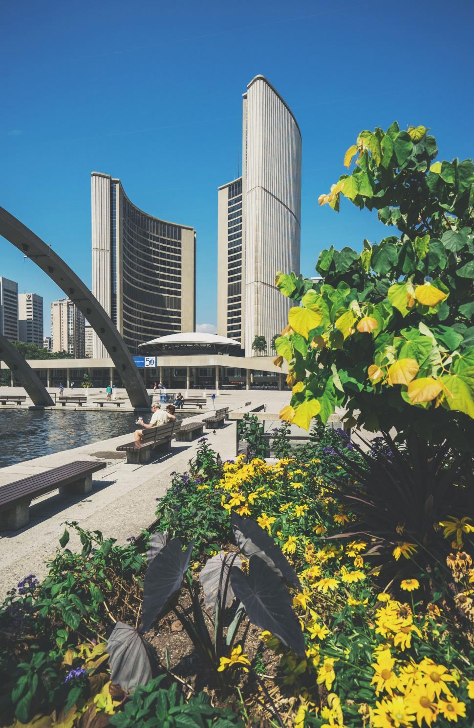 Free Image of A Bench Next to Yellow Flowers 