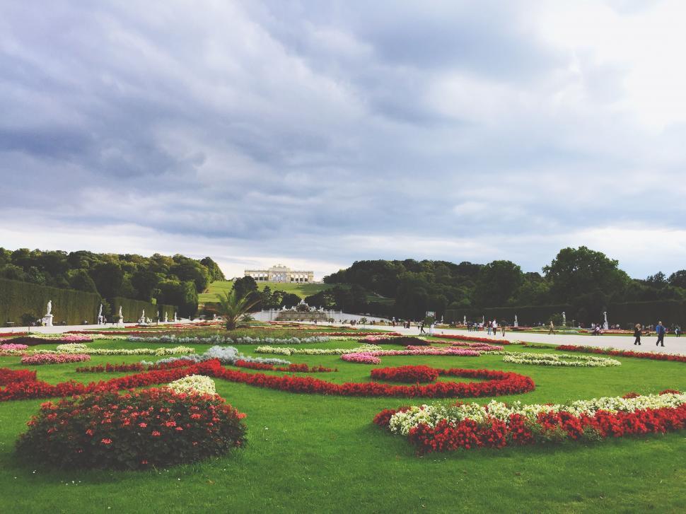 Free Image of Lush Garden With Abundant Flowers 