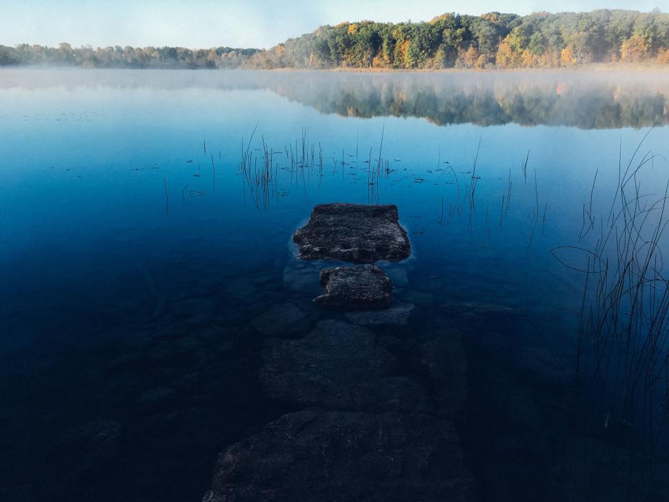 Free Image of Majestic Lake Surrounded by Trees 