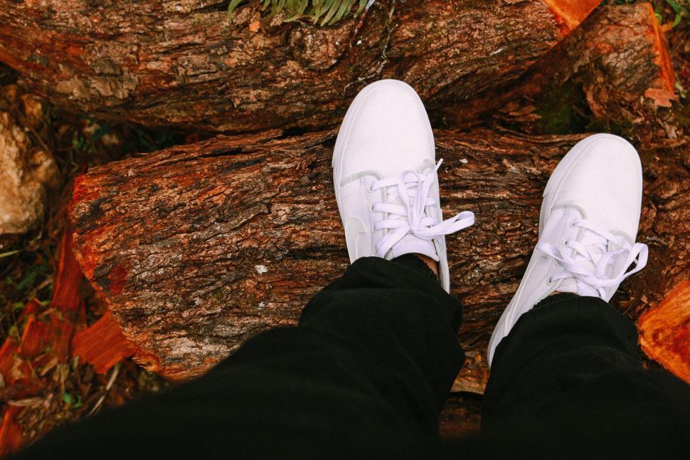 Free Image of Person Standing on Top of a Tree Trunk 