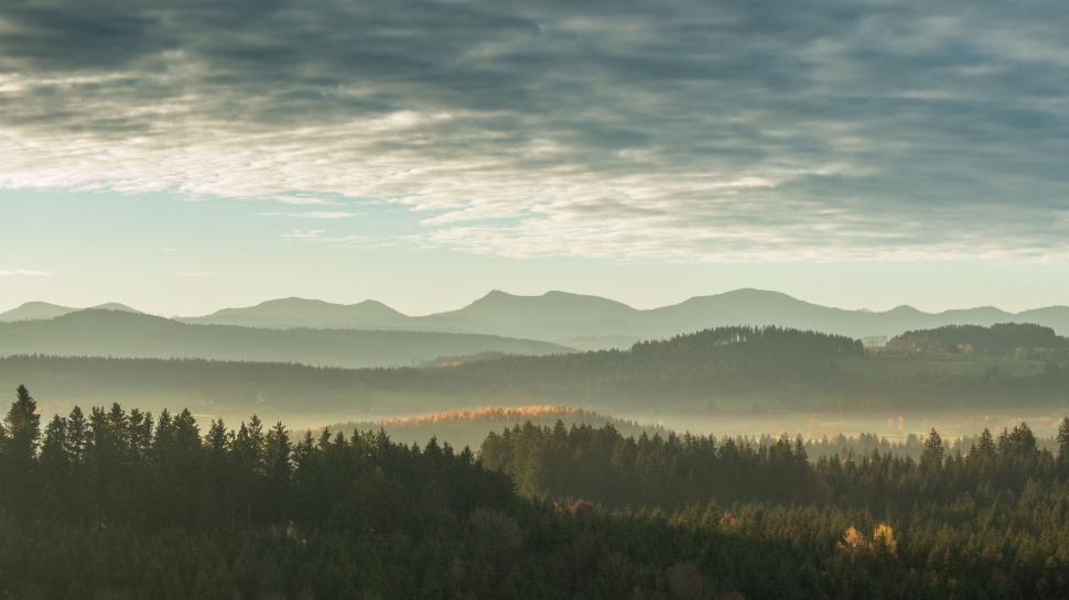 Free Image of Majestic Mountain Range and Trees 
