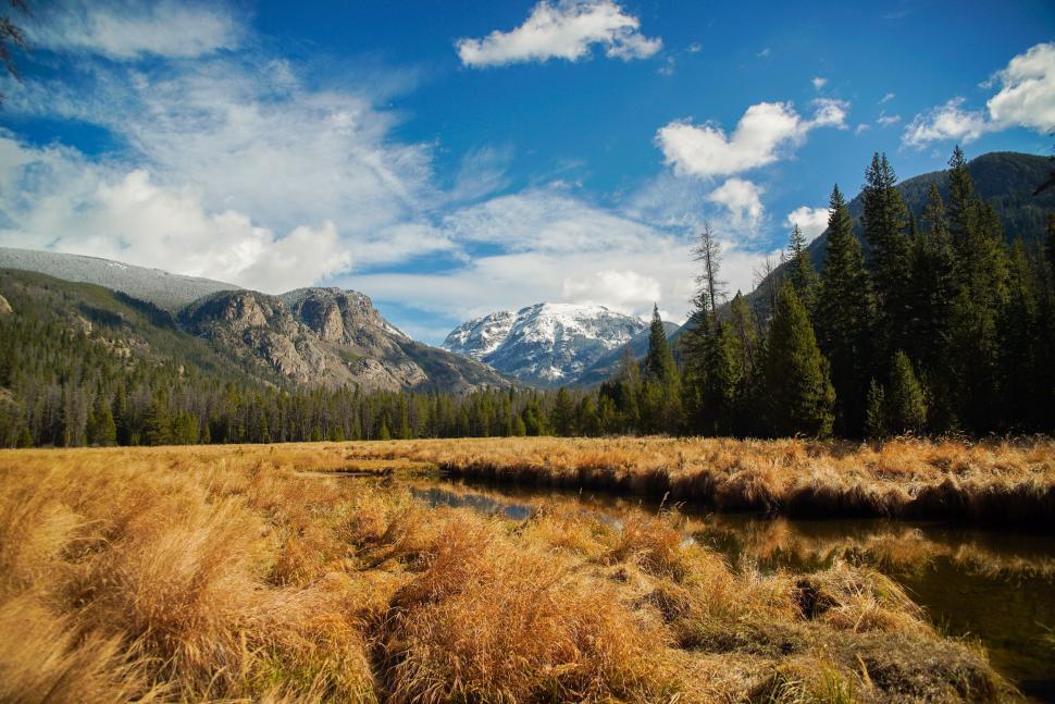 Free Image of Grassy Field With Mountains in the Background 
