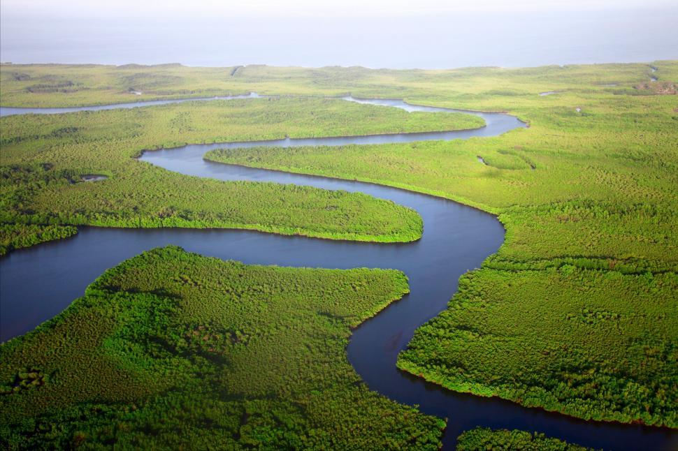 Free Image of River Flowing Through Lush Green Forest 