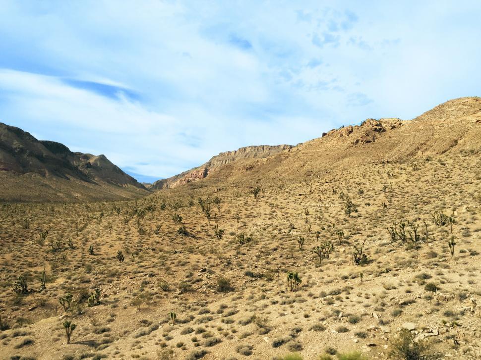 Free Image of Horse Standing in the Desert 