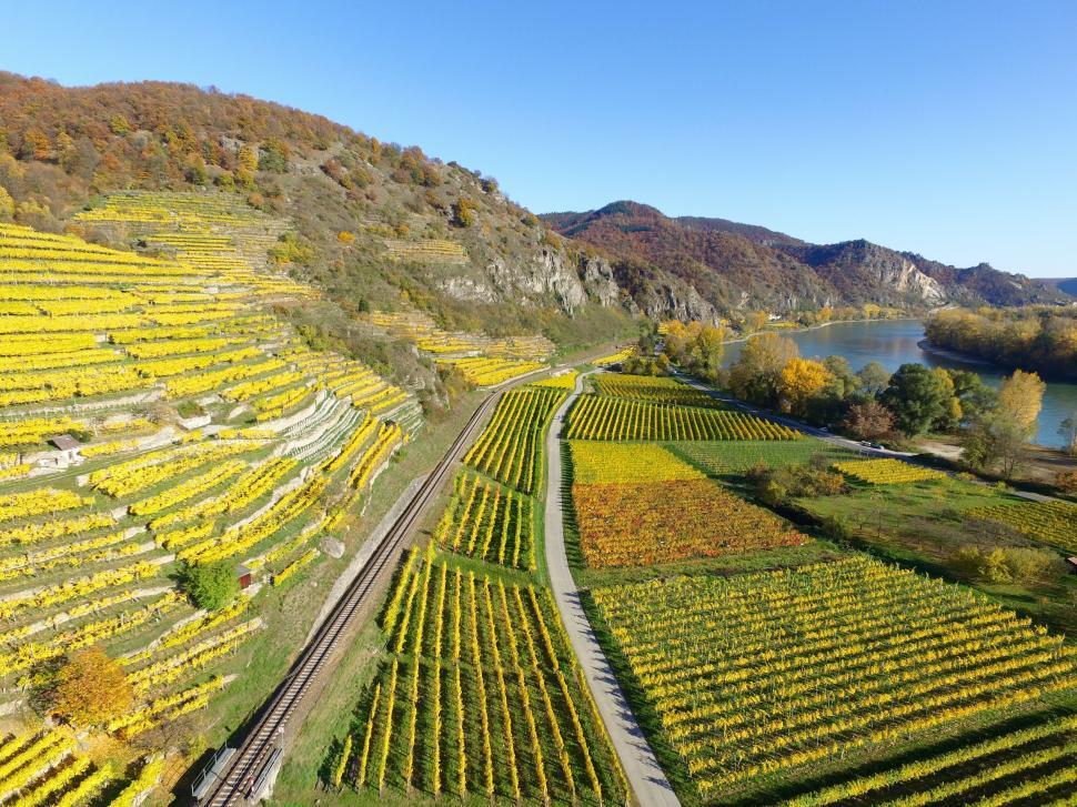 Free Image of Aerial View of Vineyard and River 
