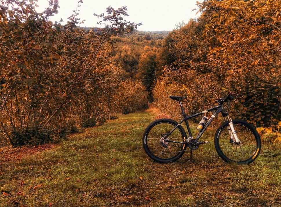 Free Image of Bike Parked on Side of Dirt Road 