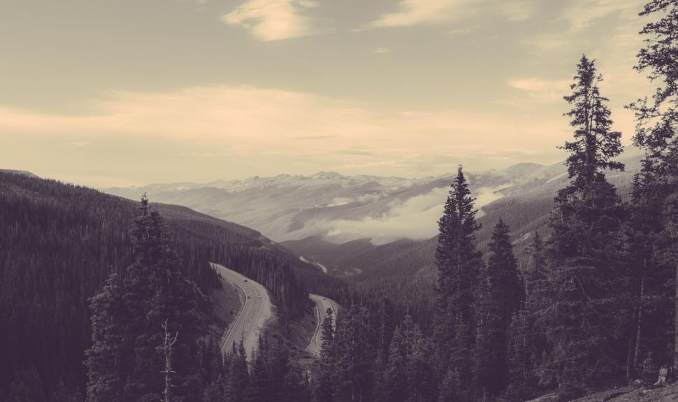 Free Image of Majestic Mountains and Trees in Black and White 