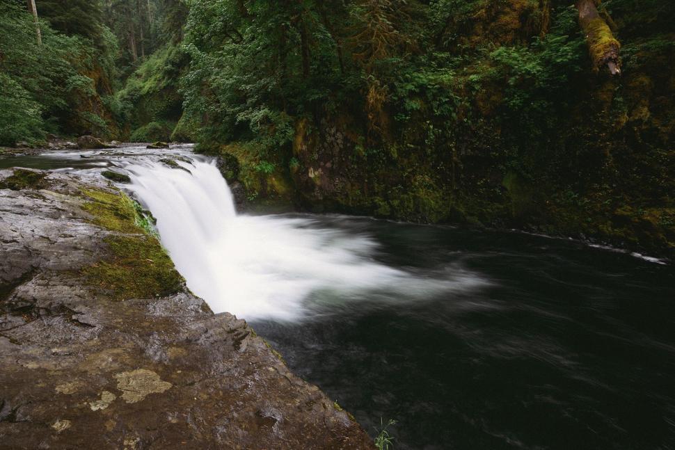 Free Image of River Flowing Through Lush Green Forest 