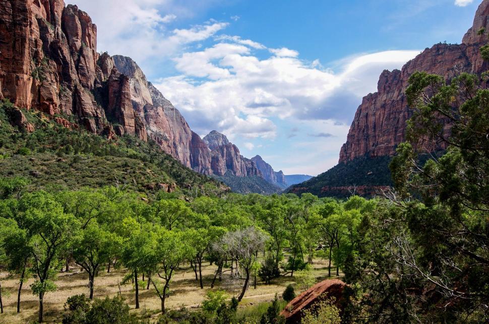 Free Image of Majestic Mountains and Lush Trees Under Clear Skies 