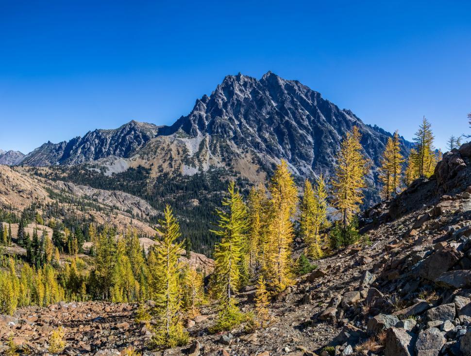 Free Image of Mountain Range With Trees in Foreground 