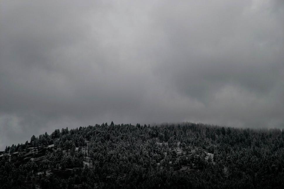 Free Image of Hill With Trees in Black and White 