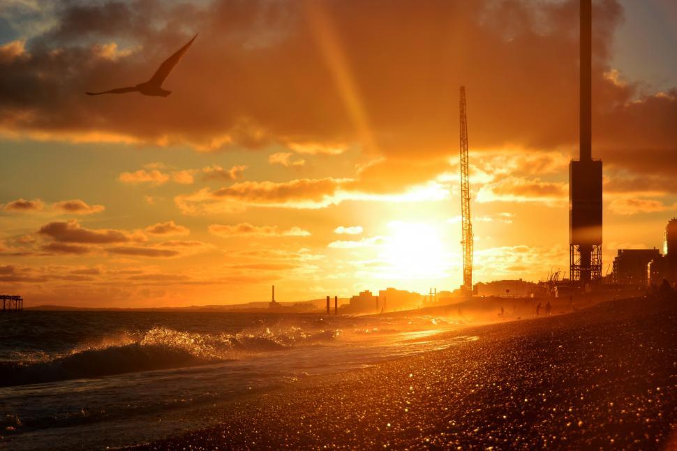 Free Image of Bird Flying Over Ocean at Sunset 