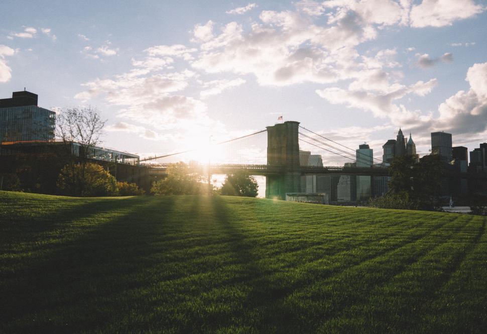 Free Image of Bridge Over Grassy Field 