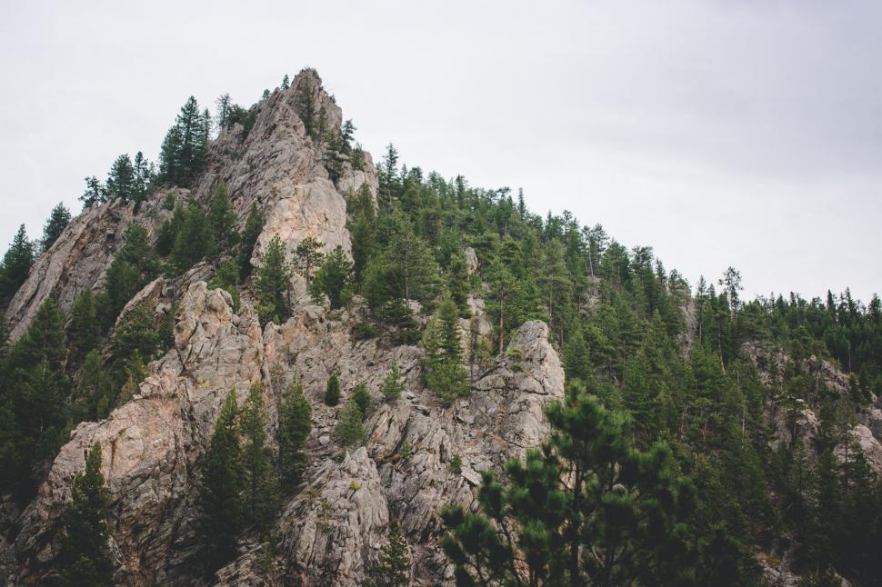Free Image of Majestic Mountain Covered With Lush Trees 