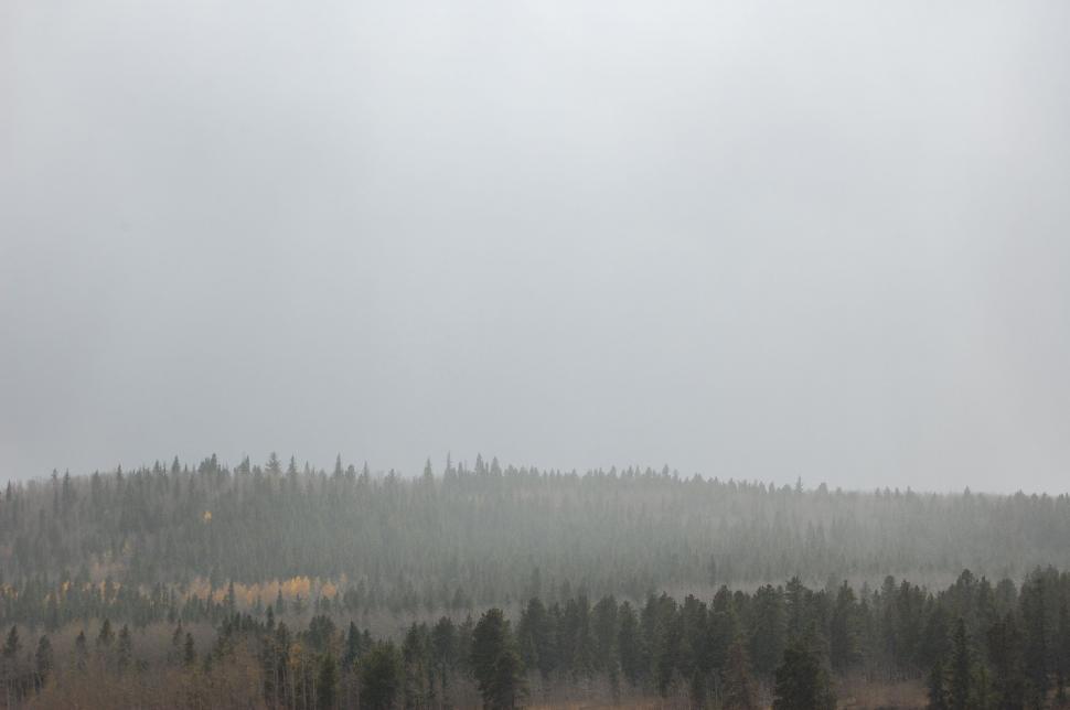 Free Image of Plane Flying Over Snow-Covered Forest 