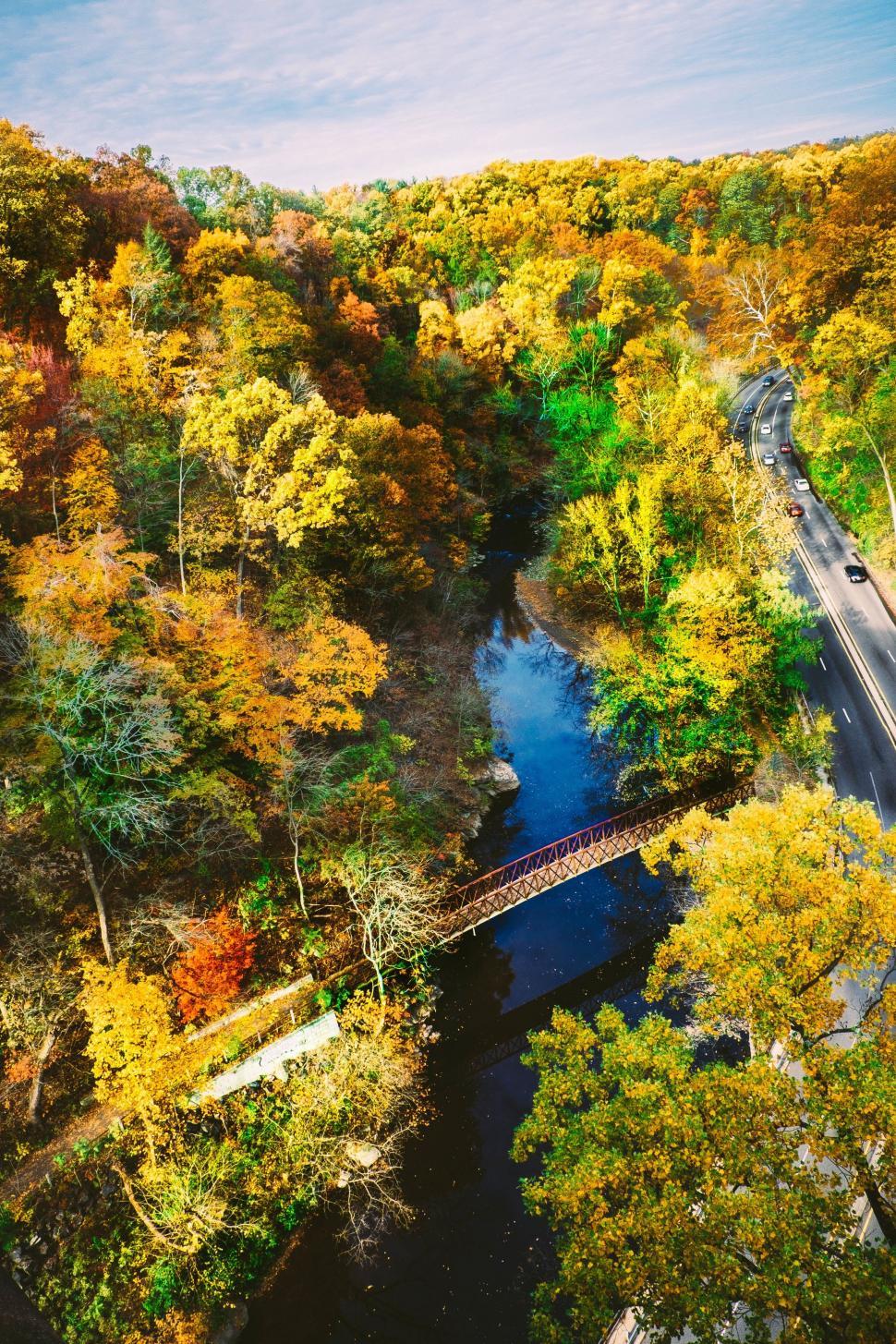 Free Stock Photo of maple autumn leaf leaves fall season tree foliage ...