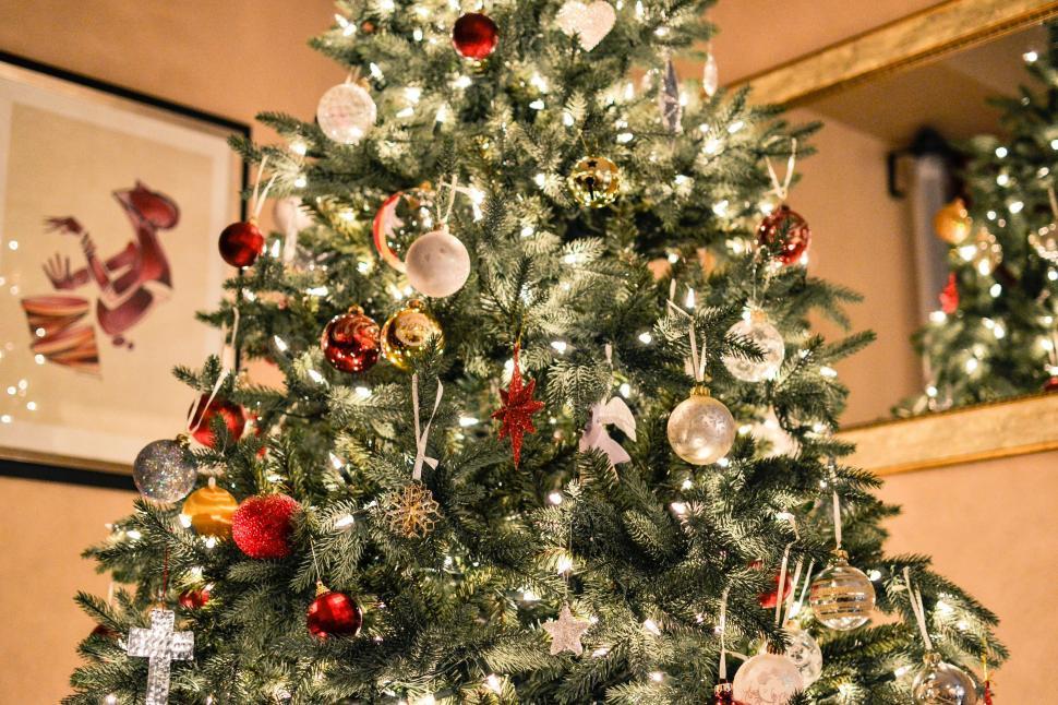 Free Image of A Decorated Christmas Tree in a Living Room 