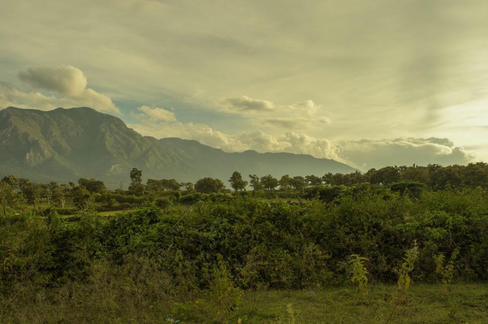 Free Image of Field With Mountain in Background 