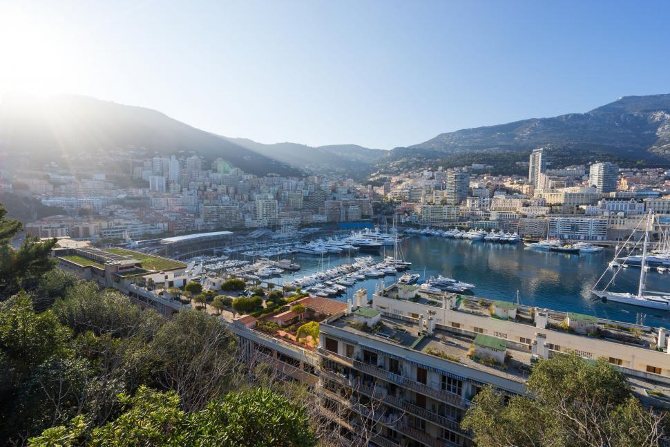 Free Image of Marina With Boats and City in Background 