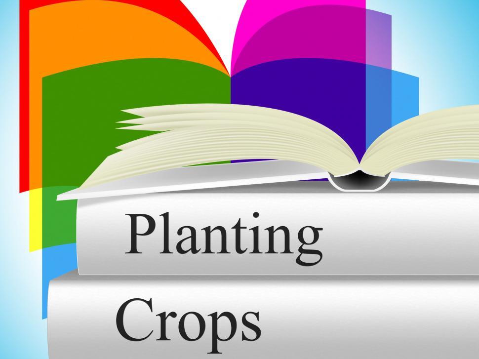 Free Image of Planting Crops Indicates Agrarian Cultivation And Field 