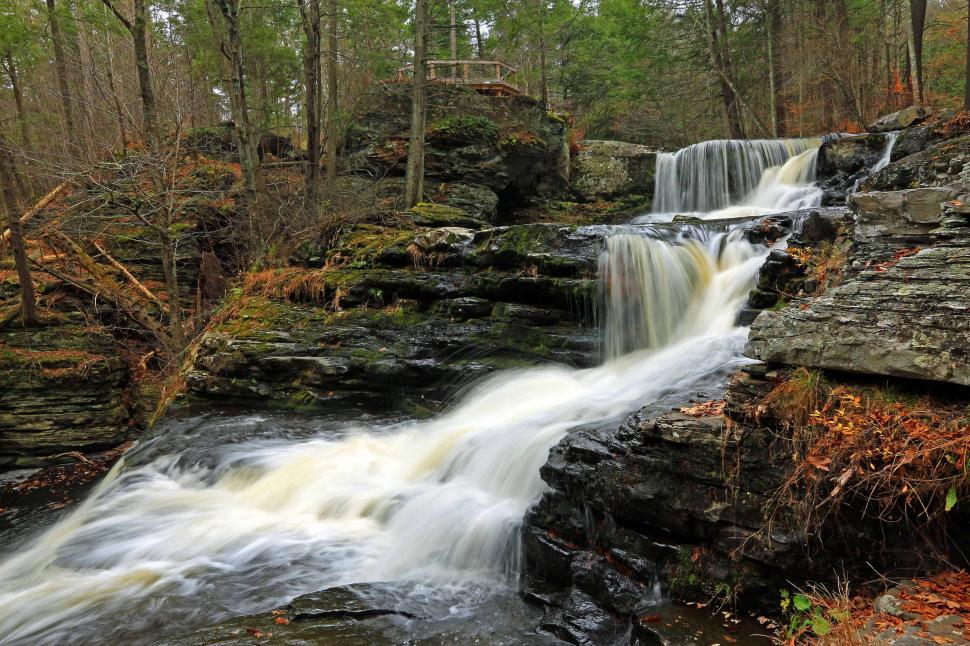 George W. Childs Park