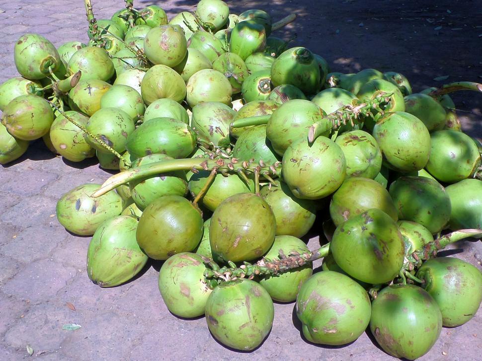 Free Image of A pile of coconuts 