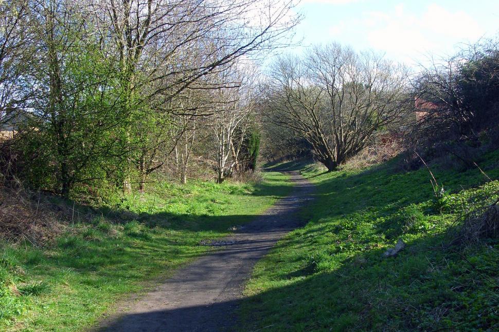 Free Image of Nature trail 