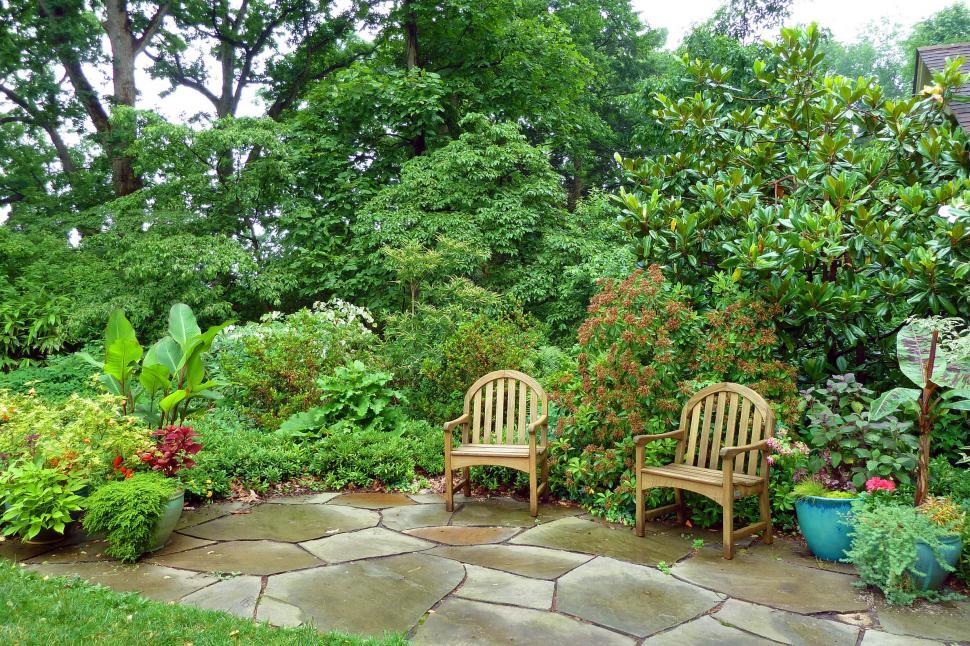 Free Stock Photo of Wooden Chairs and Potted Plants | Download Free ...